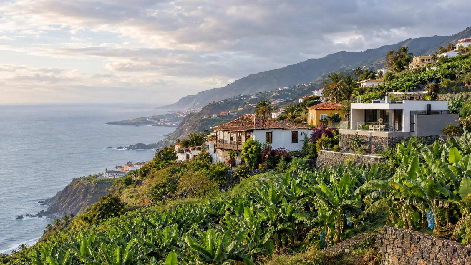 Viviendas en una ladera verde de Los Realejos, en el norte de Tenerife (recreación ilustrativa)