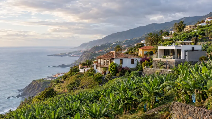 Viviendas en una ladera verde de Los Realejos, en el norte de Tenerife