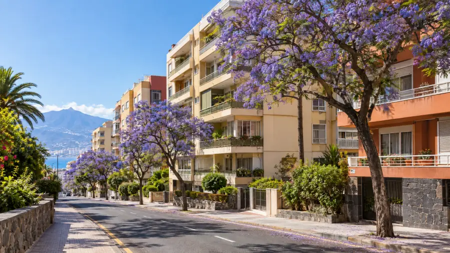 Calle residencial de Santa Cruz de Tenerife con edificios de los sesenta y setenta y jacarandas